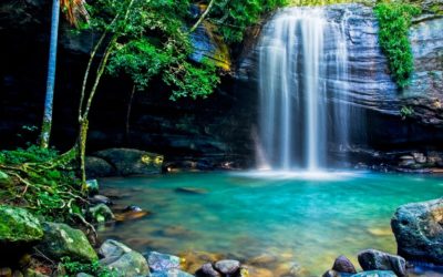 Where to find waterfalls on the Sunshine Coast